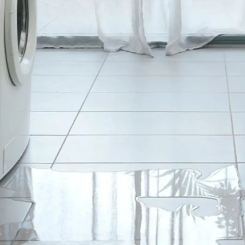 Appliance Leak Cleanup in Reform, AL