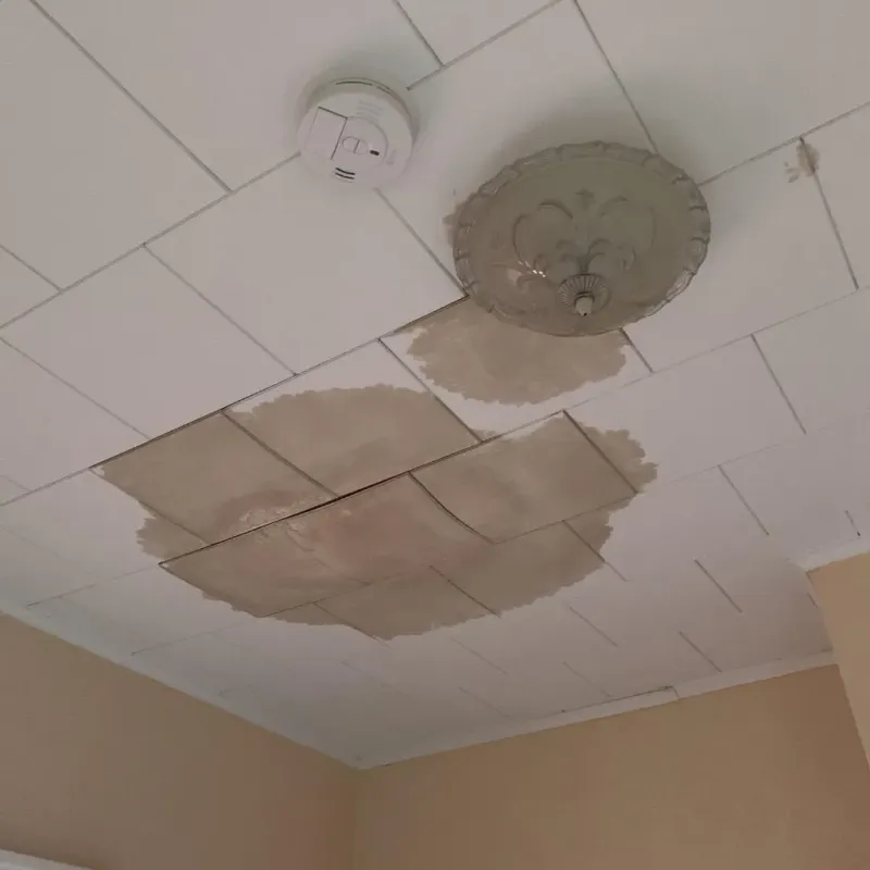 Ceiling Water Damage Repair in Reform, AL