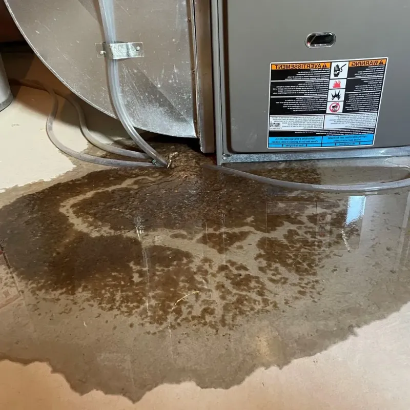 Pipe Burst and Leak Restoration in Reform, AL