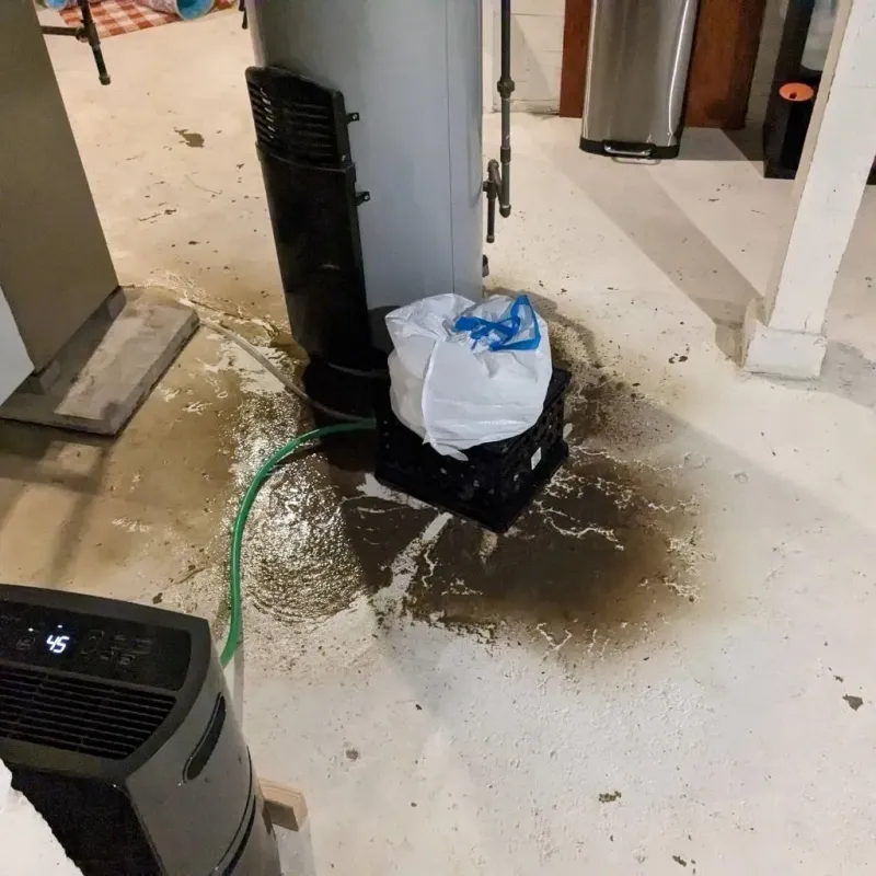 Sewage Backup Cleanup Service in Reform, AL